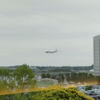 空港側の部屋からB滑走路が良く見えます。