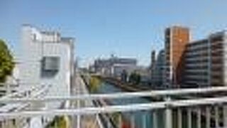丸八橋