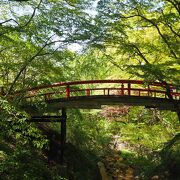 新緑に包まれた美しい橋