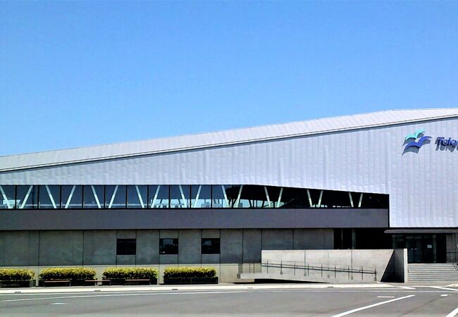  東京九州フェリー 横須賀フェリーターミナル