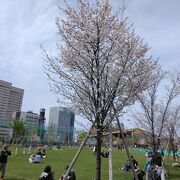 広々とした公園で、安らぎます。