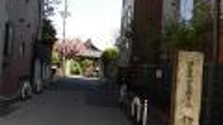 八重桜が満開で、本堂とのコントラストがとてもきれいでした