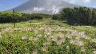 ロープウエイですぐ