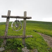 夏も涼しい