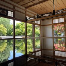 2023年　床もみじ