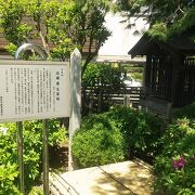 野川公園のついでに