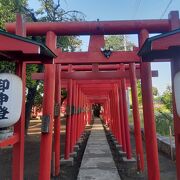 赤の鳥居が連なるお稲荷さん （笠森稲荷神社）