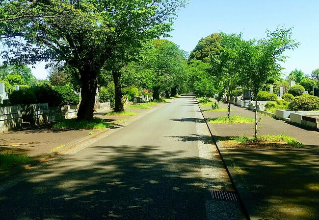 浅間山公園に隣接しています