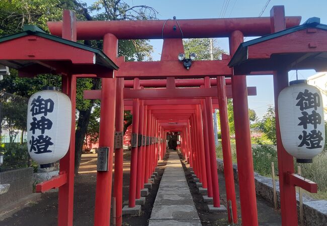 赤の鳥居が連なるお稲荷さん （笠森稲荷神社）