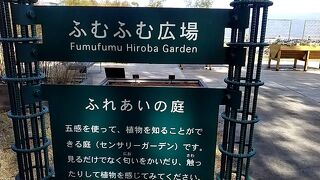 ひろーいきれい