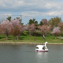 つくも水郷公園