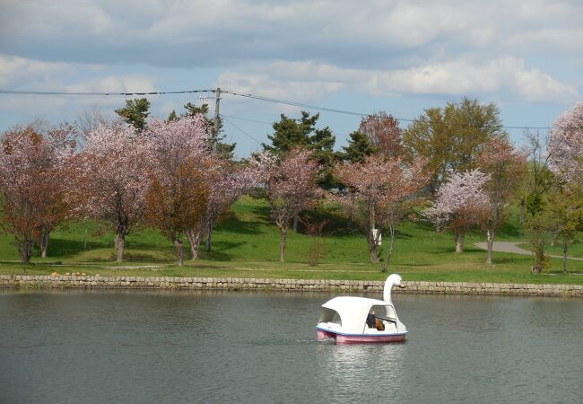 桜の名所