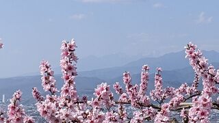 八代ふるさと公園