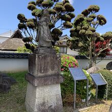 田ステ女像