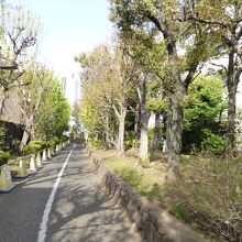 洲崎川緑道公園