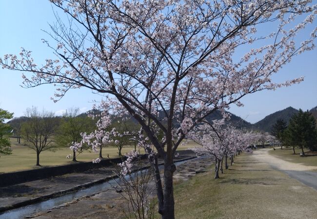 希望が丘文化公園