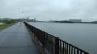 雨中ウォーキング