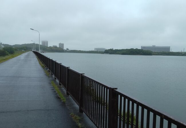 雨中ウォーキング