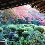 京都でも格別の趣