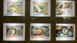 つしにゃんキッチンは対馬の名物が詰まってます