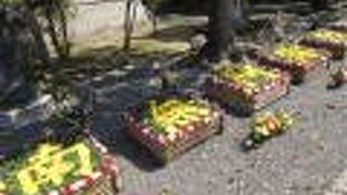 お彼岸のニュースでおなじみ