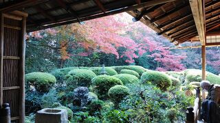 京都でも格別の趣