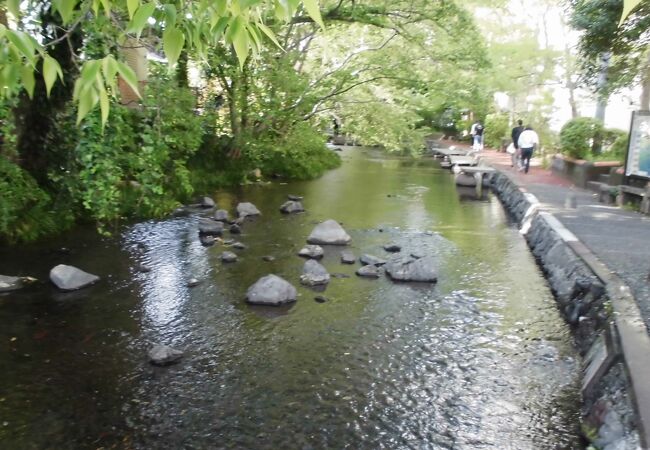 水辺の遊歩道