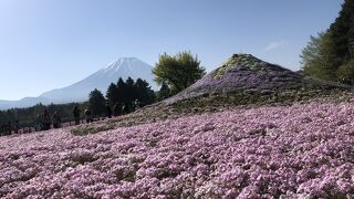 GWの早朝に行きました