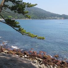 吉浜湾のきれいな海岸線