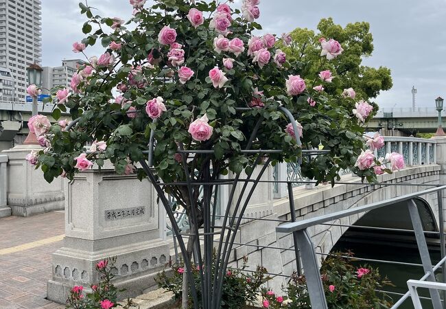 中之島公園内