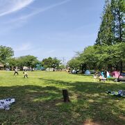 生物園のある公園