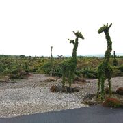 途中の大量のトピアリーが異世界風味