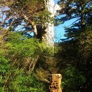 淀川登山口へ行く途中にあります