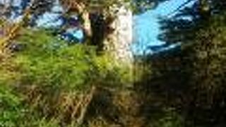 淀川登山口へ行く途中にあります