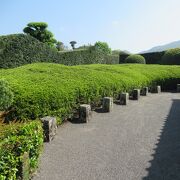 イヌマキの生垣とサツキが特徴の庭園です