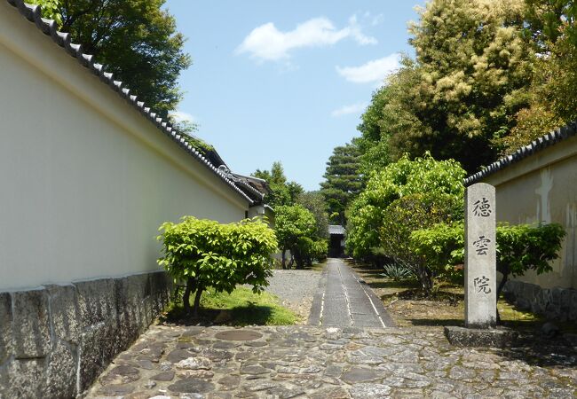 徳雲院