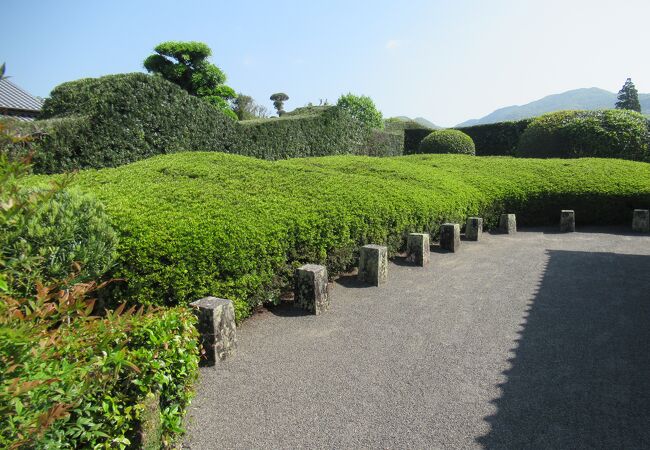 イヌマキの生垣とサツキが特徴の庭園です