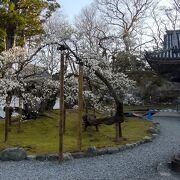 瑞巌寺宝物館 