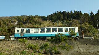 春は一面の菜の花もお見逃しなく