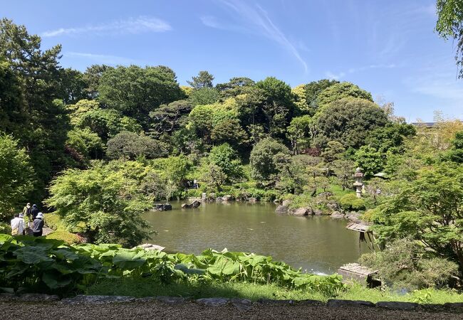 池上本門寺