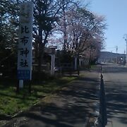 比布神社の桜について