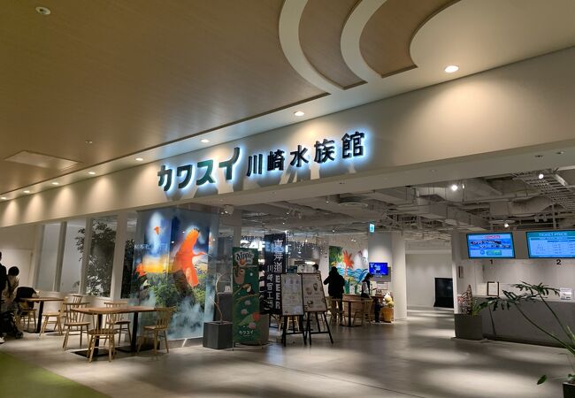 屋内水族館