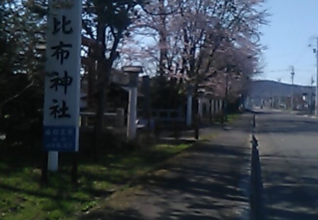 比布神社の桜について
