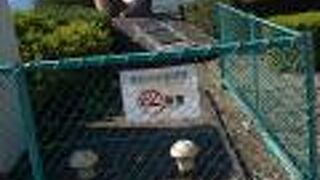 なんの形だろう？