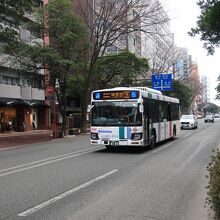 都市緑化の成功例だ