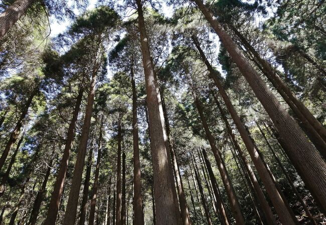 食も良し、温泉もよし、自然もよし