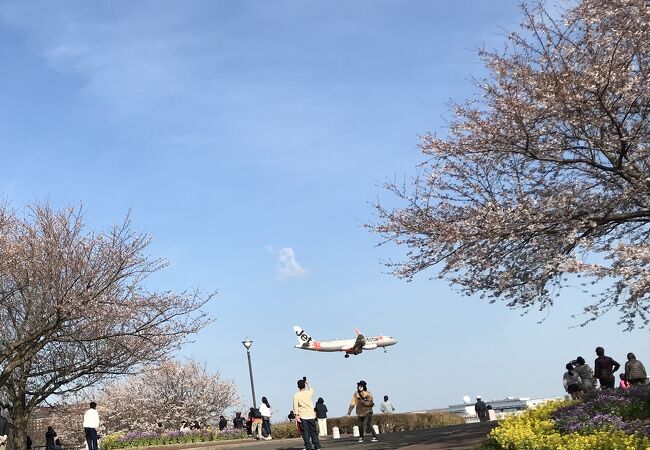 飛行機の離着陸を間近に見ることができる