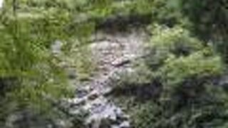 月形だけしか残っていないみたいです。