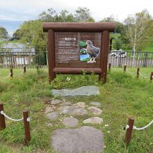 すぐ外には≪ハーブ鶏発祥の地≫の説明板が。