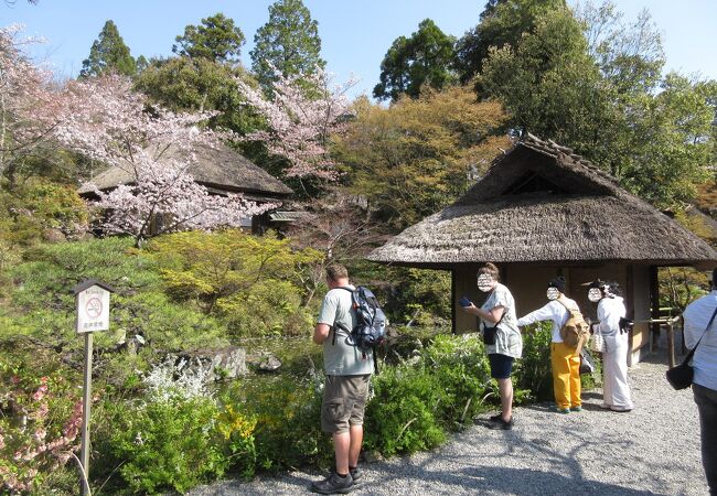 商用利用、および、モデル使用の写真撮影【禁止】